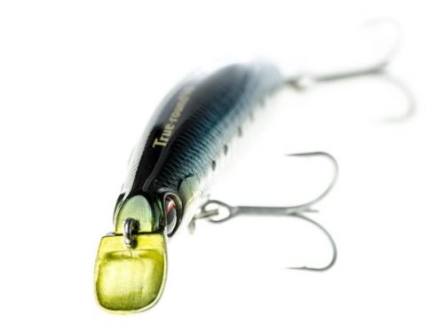 True Round 94 by Evergreen, sea bass lure with rolling action and long casting performances
